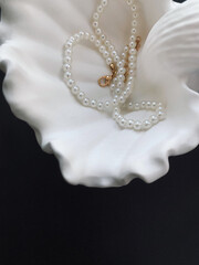 Pearl necklace and seashell on black background