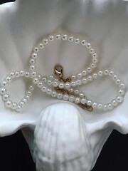 Pearl necklace on white background