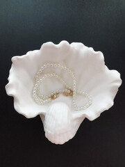 Pearl necklace and seashell on black background