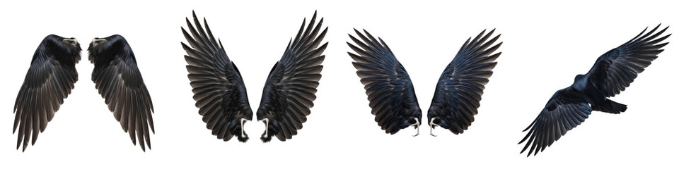 Obraz premium Black Crow Wings Set Isolated on White Background for Photo Manipulation, Gothic Crow Feathers, Dark Raven Wings Spreading, Flying Bird Elements, Realistic Avian Wing Textures
