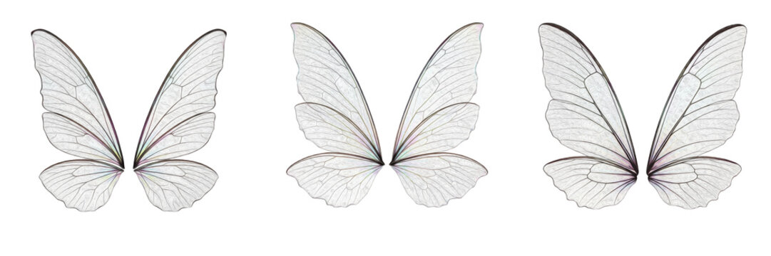 Fairy wings transparent and delicate isolated on white background, soft magical fairy wings with light texture, fantasy insect wings for fairytale art, magic concept, whimsical design and mystical ill