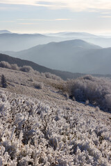Piękny słoneczny dzień w Bieszczadach – mroźny, czysty krajobraz górski pokryty białym śniegiem. © W Podróży do Chmur