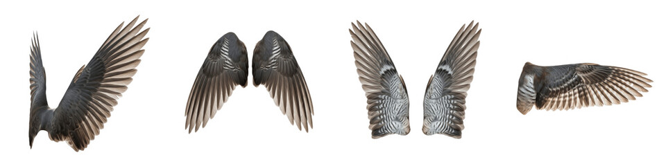 Eurasian Skylark Bird Flight Sequence, Small Brown Speckled Wings Spread in Motion, Isolated on White Background PNG, Alauda Arvensis Wing Action Study Set, Songbird Flight Cutout