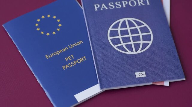 A pet passport is a document with vaccination and travel information for a cat, dog, or other animal. A pet passport as a background for your design.
