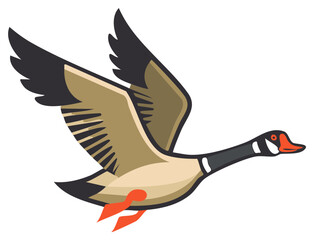 Fototapeta premium Canada goose flying, detailed illustration of wildlife migration symbol