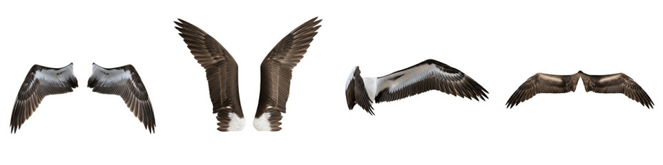 Realistic Large Bird and Predator Wing Collection Featuring Detailed Feather Patterns and Dynamic Flight Postures Isolated on White Background PNG Mockup