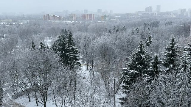 Snow cyclone over city, blizzard snowfall and low visibility above urban park and forest, extreme winter weather anomaly, cold wave storm warning concept with copy space.