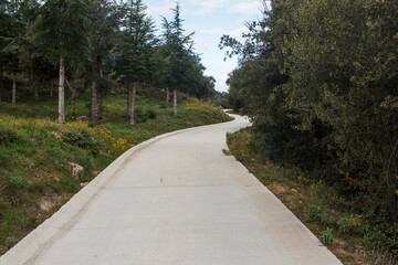 voie ciment&eacute;e dans les Alb&egrave;res
