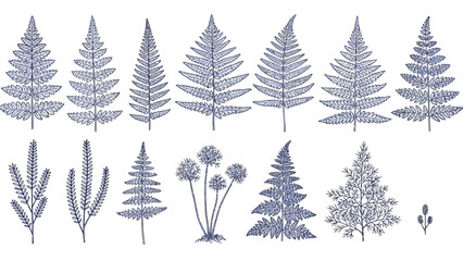 Obraz premium Collection of various plant silhouettes including ferns and trees illustrated in a minimalist style