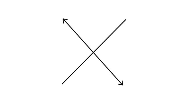 Simple black intersecting double headed arrows on white background.