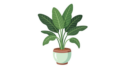 Obraz premium A large potted plant with green leaves in a light green pot, viewed from the front