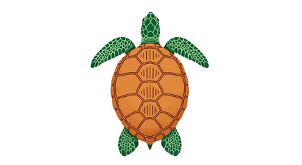 Illustration of a turtle viewed from above showcasing its shell and flippers in a digital art style © John