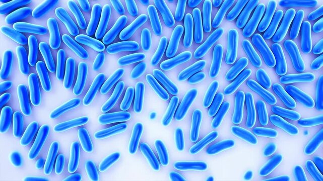 Close-up of blue bacteria under a microscope, showcasing microbial life and its significance in health and science