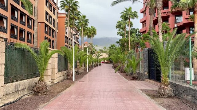 POV walking tour in tropical street with palms. First person view stroll through a blooming exotic island with palm trees and flowers. Natural handheld camera movement, relaxing vacation atmosphere