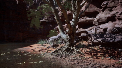 Obraz premium A tranquil riverside scene showcases intricate tree roots stretching out toward the water. Sunlight filters through rocks, casting soft shadows on the sandy shore.
