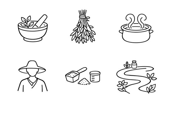 Traditional Herbal Icons. Line style icons of traditional use: herbal preparation bowl, drying bundle outline, decoction steam arc