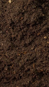 Macro video of rich, damp soil with visible organic matter and a single earthworm. The texture and composition reflect active biological processing and natural soil enrichment