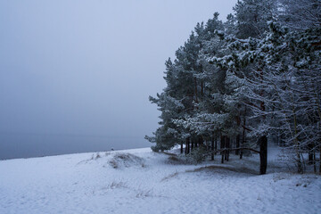 Calm, snowy winter landscape of pine trees on a hillside next to frozen body of water under...