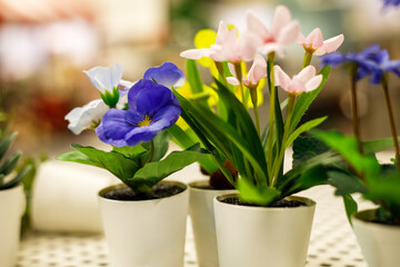 small decorative potted flowers and succulents on white table with soft blurred background. cozy interior decor concept, fresh colors, minimal home or office design atmosphere.