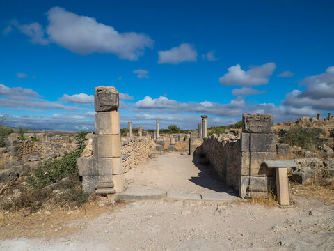 Entrance to the House of the Ephebe at Volubilis. Complex of ruins of the Roman city Volubilis - Meknes region, Morocco, North Africa
