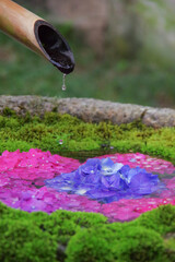 花手水に落ちる水滴