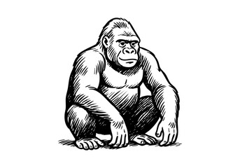 Fototapeta premium Gorilla hand drawn simple sketch vector illustration