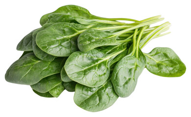 Fototapeta premium PNG Spinachs vegetable spinach produce.