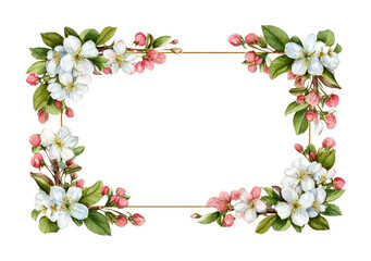 Fototapeta premium PNG Vintage spring-floral rectangle frame illustration watercolor white.
