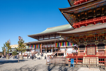 成田山新勝寺 三重塔と新年の初詣風景