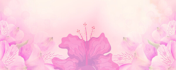 Fototapeta premium pink flowers background.
