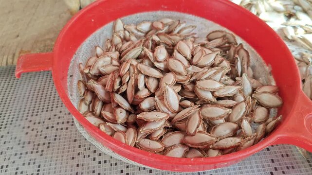 Fresh pumpkin seeds draining in a red plastic strainer after being washed