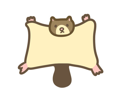 Cute Flying Squirrel Character Illustration
