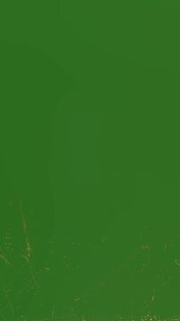 Vertical 16mm old film scratch and dust effect, seamless vintage cinematic overlay on green screen