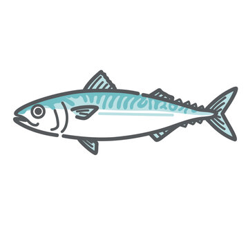 鯖（サバ）のイラスト（一尾/青魚/DHA・EPA）
