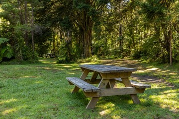 A wooden picnic table sits in a grassy clearing surrounded by trees in New Zealand. The table provides a place for visitors to rest. © Stefan