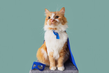 Cute cat in superhero costume on color background