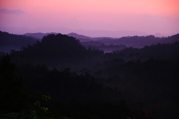 Obraz premium Beautiful gradient of misty fog forest at Pahang, Malaysia