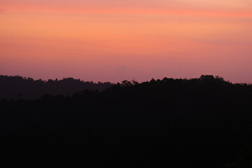 Obraz premium Beautiful gradient of misty fog forest at Pahang, Malaysia