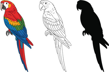 Red Macaw Parrot Vector Set Full Color, Line Art, and Silhouette