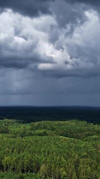 Vertical hyperlapse drone shot of a torrential rain storm clouds moving forest