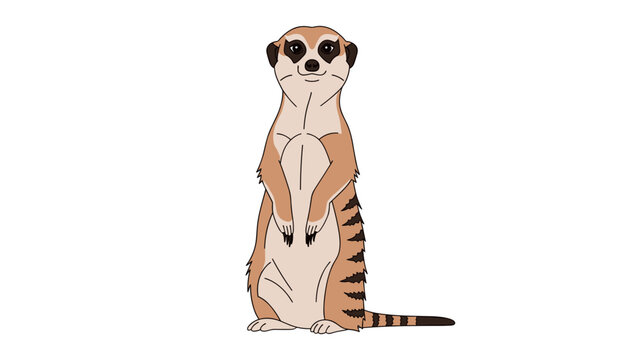 Meercat Standing Upright on Hind Legs.