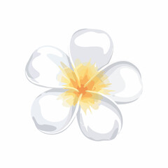 Delicate White Flower