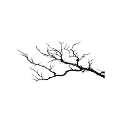 Fototapeta premium Bare tree branch silhouette on white