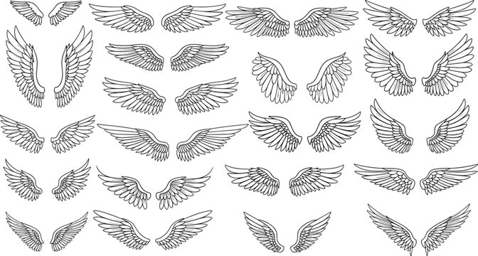 Black and white of various angel wings wing feathers flight symbols