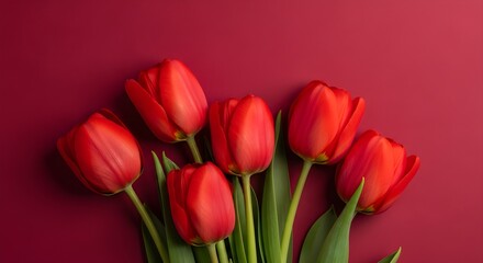 Obraz premium Red Tulips Against a Crimson Background A Perfect Gift for Celebratory Occasions