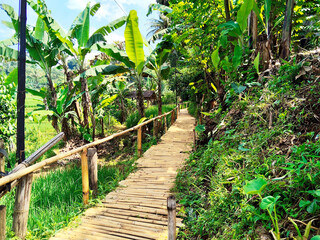 Bamboo Walkway Through Scenic Rice Fields in Arjasari, Bandung, Indonesia