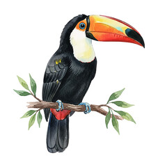 Obraz premium A colorful tropical toucan bird with a vibrant beak perching calmly on a tree branch with green leaves