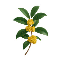 Obraz premium PNG Yellow flowers with green leaves
