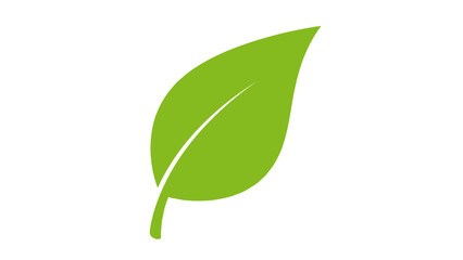 Fototapeta premium Green leaf with stem and veins.