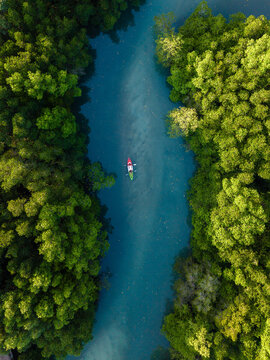 Explore the tranquil mangroves of Koh Phayam in Ranong, Thailand